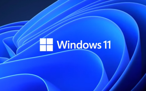 【MSDN】Windows 11 22H2 消费者版、商业版2023年5月简体中文版22621.1702官方镜像资源