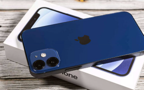 因SAR辐射水平过高 法国决定禁售iPhone 12（附SAR值各国标准）